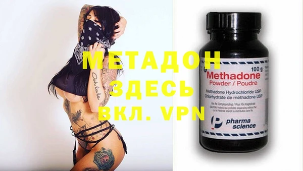 индика Козловка