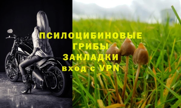 трава Богданович