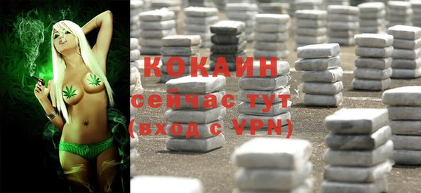 крисы Богородск
