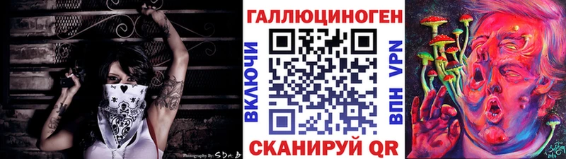 Галлюциногенные грибы Psilocybine cubensis  Каменск-Шахтинский 
